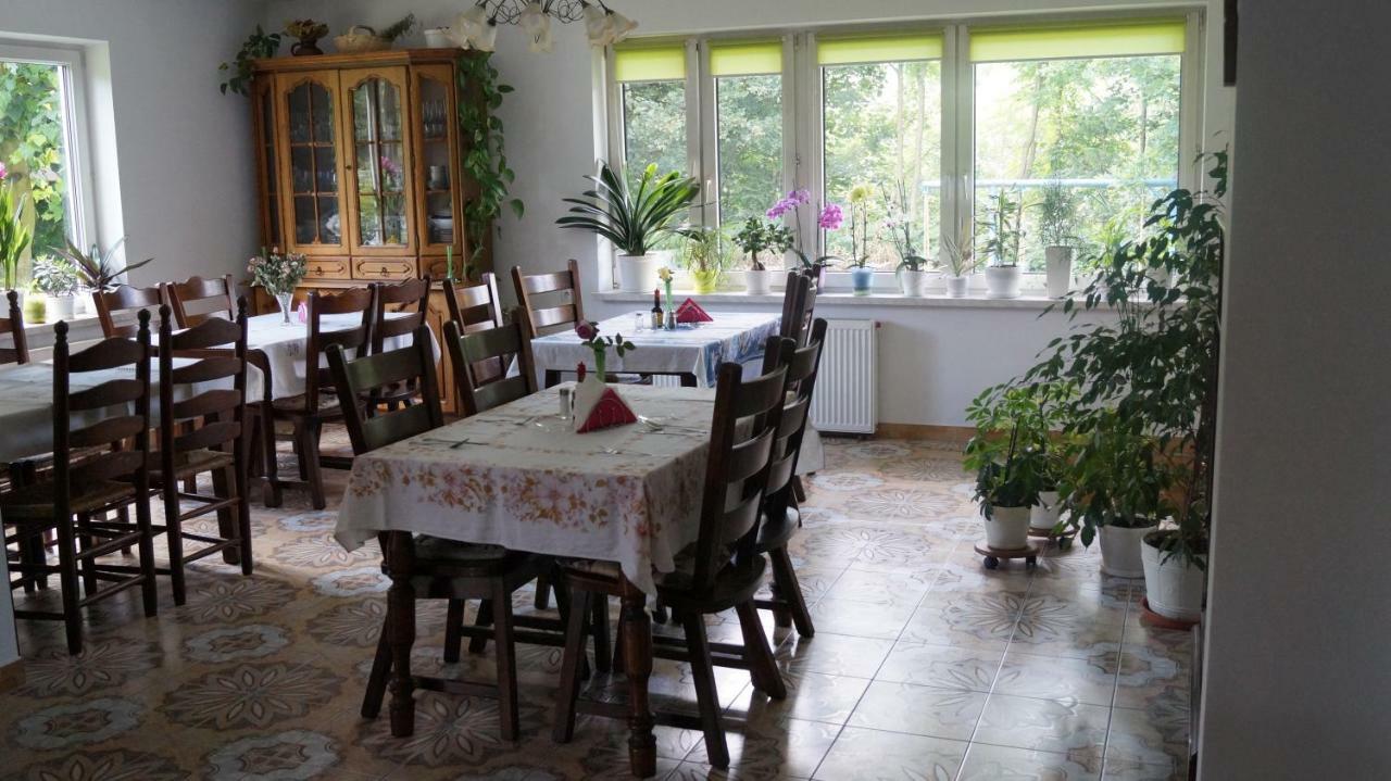 Agroturystyka Stokrotka Rymanów-Zdrój 외부 사진